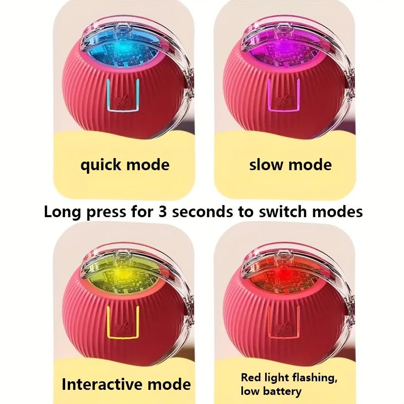 Interactive Cat Toy: Fun for Felines - Finnegan's Finds