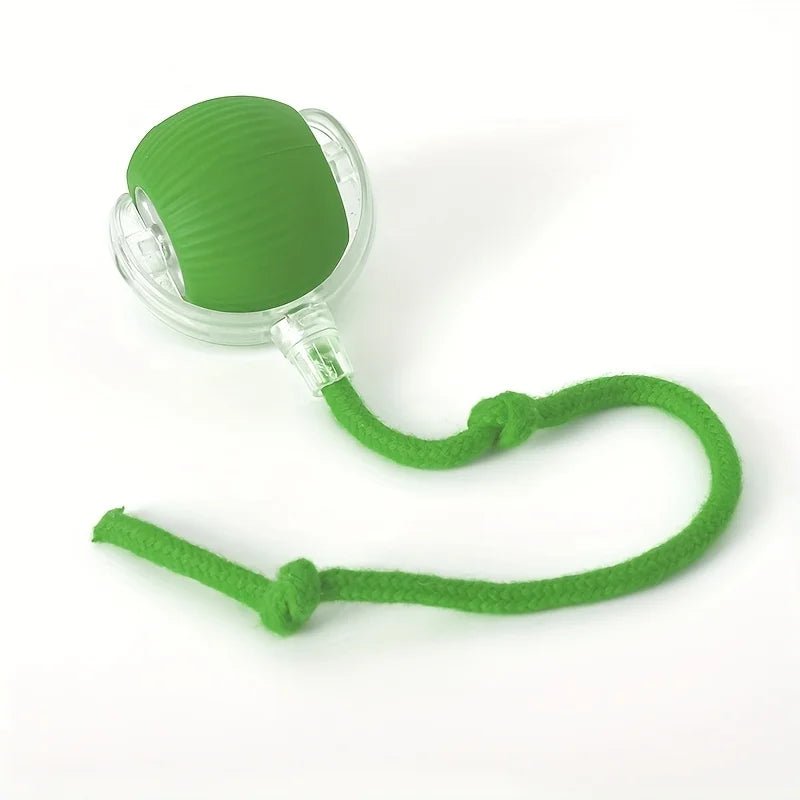 Interactive Cat Toy: Fun for Felines - Finnegan's Finds