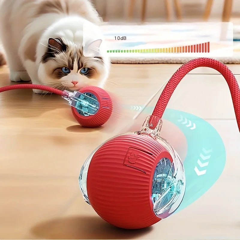 Interactive Cat Toy: Fun for Felines - Finnegan's Finds